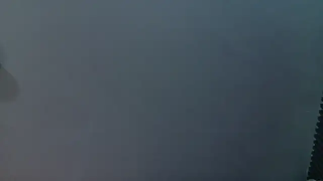_MileyRoss webcam