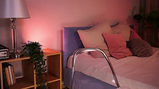 lexy_exe webcam