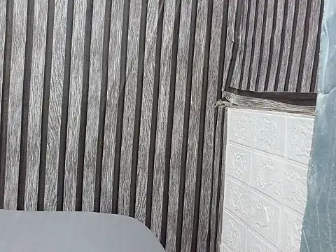 moremoreguys webcam