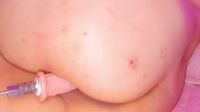 Miaa_Foxx03 webcam