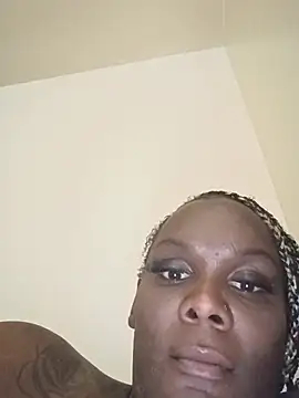 Kimmikum webcam