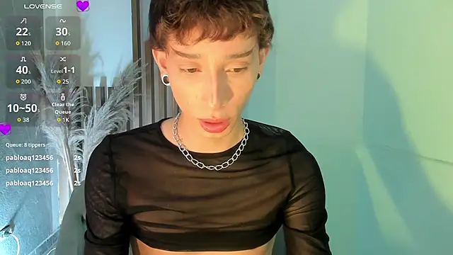 AndyWiilliams webcam