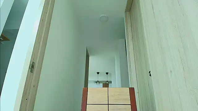 thomas_gun webcam