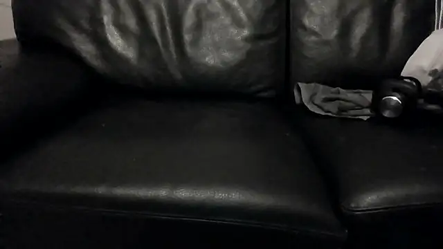 passif520 webcam