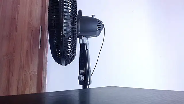 dirty_model webcam