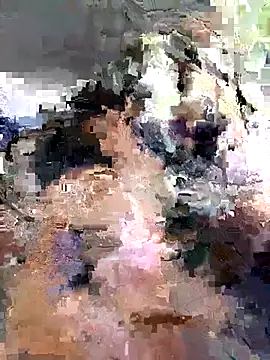 dickencidr webcam