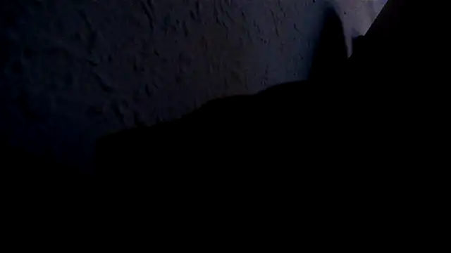 parejabcnbdsm webcam