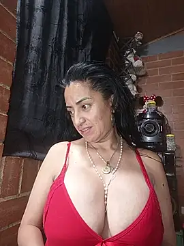 Alexandrina webcam