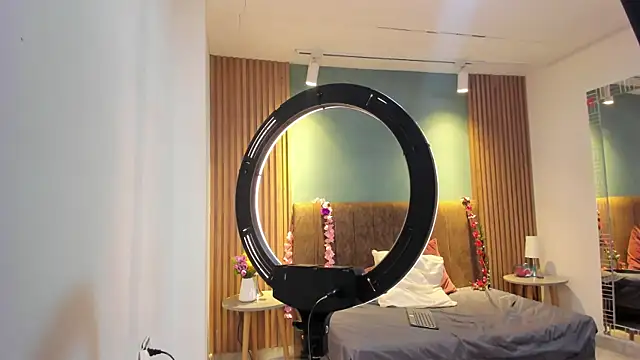 SkyCollins webcam