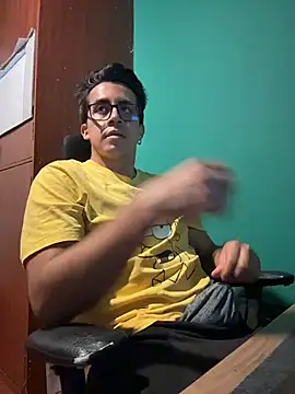 Andy_n_cat webcam