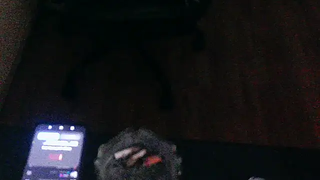 Andre95x webcam