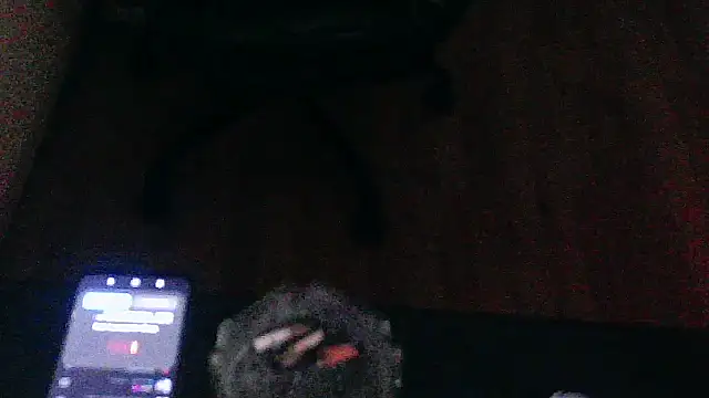 Andre95x webcam