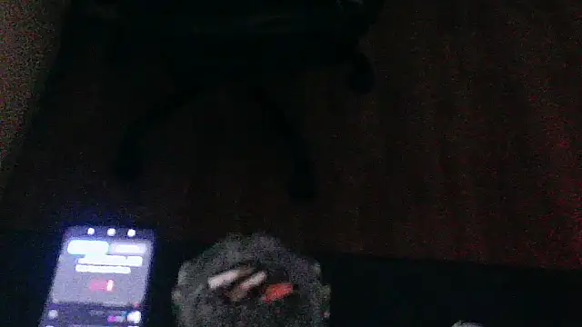 Andre95x webcam