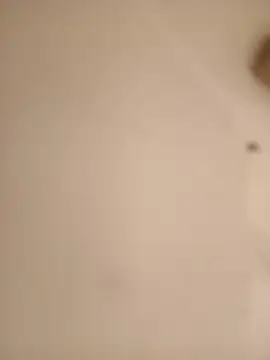 arouane webcam