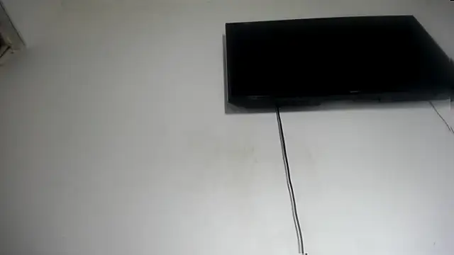 Fox_Loves webcam