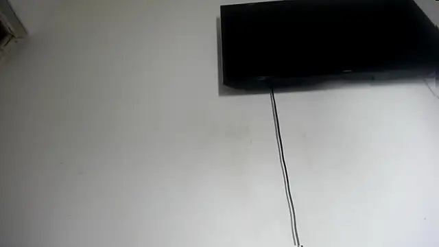 Fox_Loves webcam