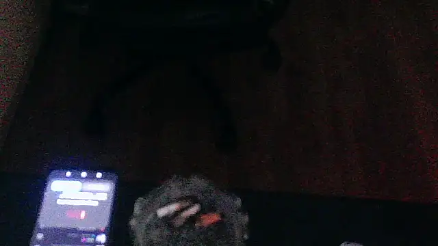 Andre95x webcam