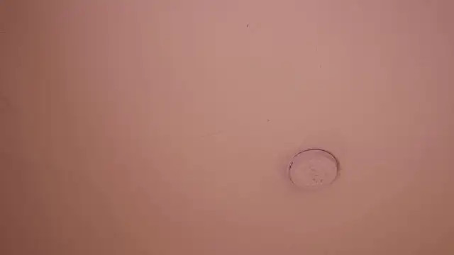soidai_miiu webcam