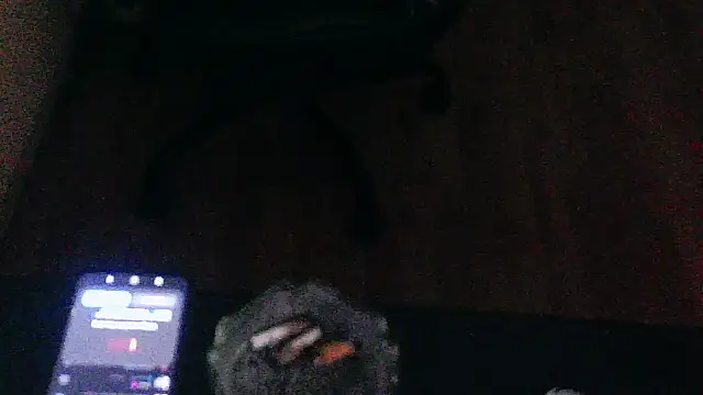 Andre95x webcam