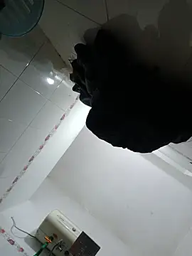 Belle-ee webcam