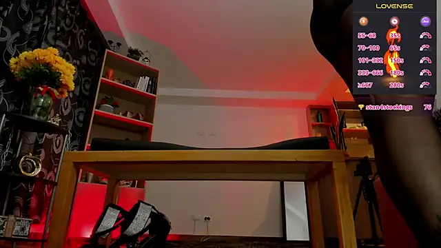 missariadna2 webcam