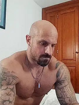 Visto36