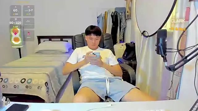 clarkdangerous webcam