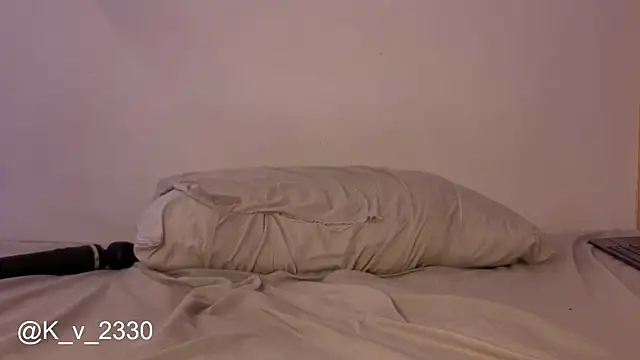 sofiesoft webcam