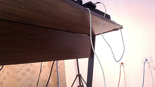 dirty_model webcam