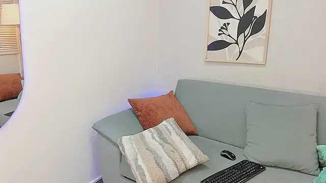 KassMonroe webcam
