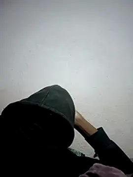 New1119 webcam