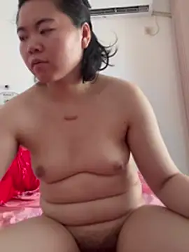 Fbshbsk33 webcam