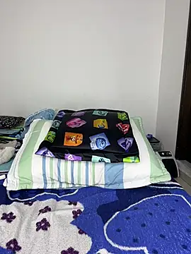 sandylau webcam