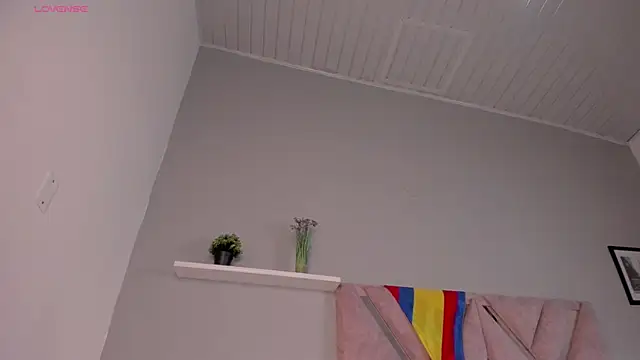 nova_silk webcam