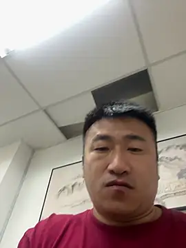 Cunzhangshibage02 webcam