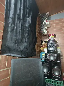 Alexandrina webcam