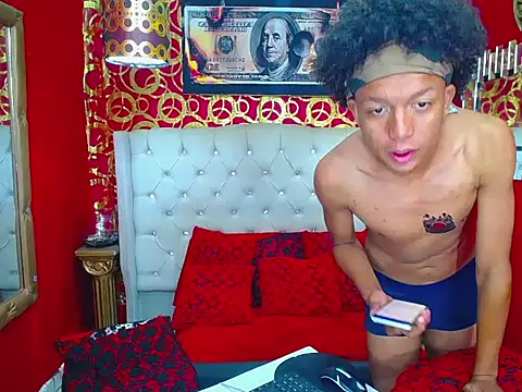 PEINBOYS webcam