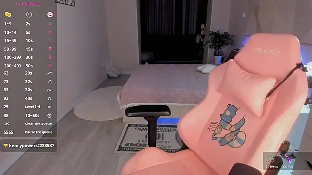 Seiko_swan webcam