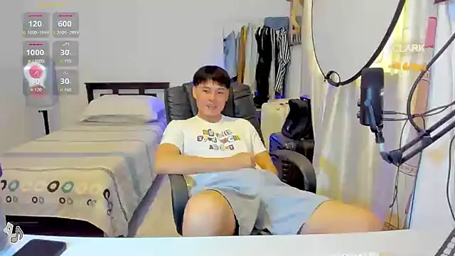 clarkdangerous webcam