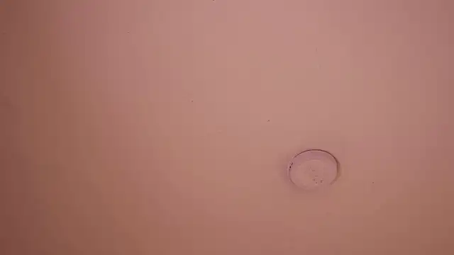 soidai_miiu webcam