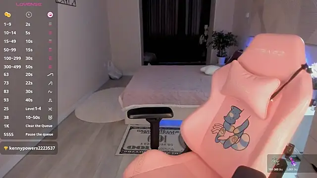 Seiko_swan webcam