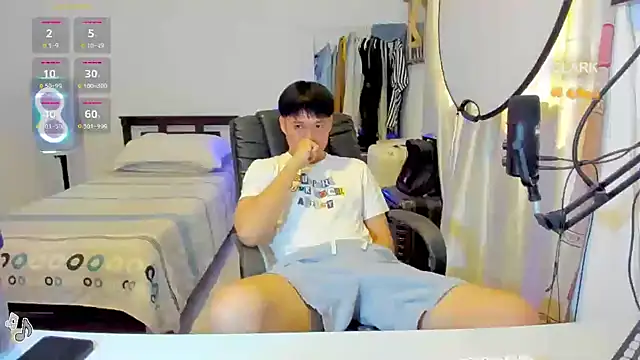 clarkdangerous webcam