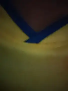 Cataleya_16 webcam