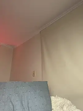 Samispank webcam