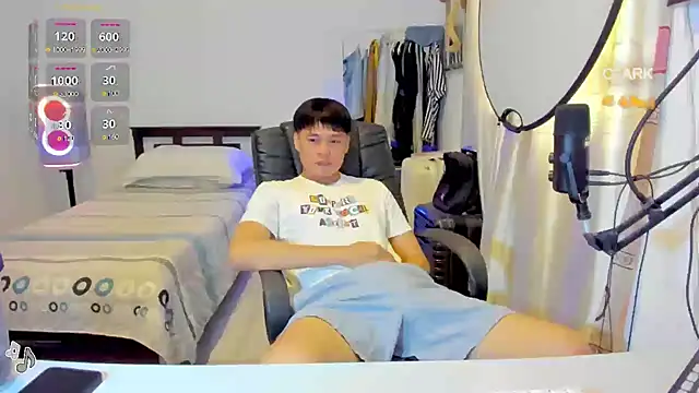 clarkdangerous webcam