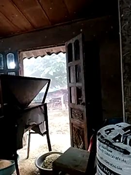 daisyy2 webcam