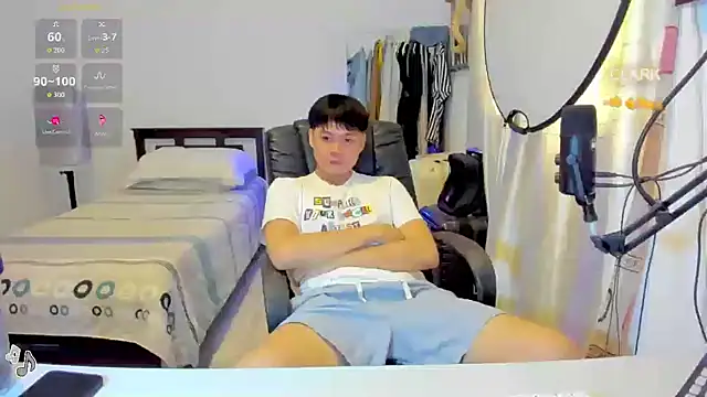 clarkdangerous webcam
