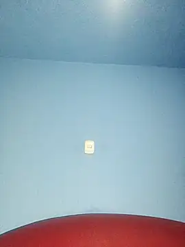 Noa_Phone webcam