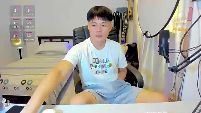 clarkdangerous webcam