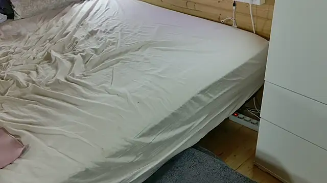 wild41 webcam